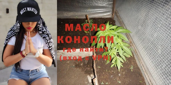 бошки Бородино