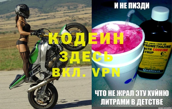 бошки Бородино