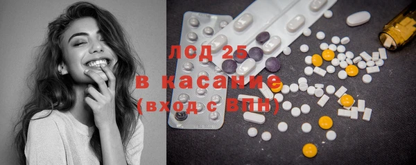 бошки Бородино