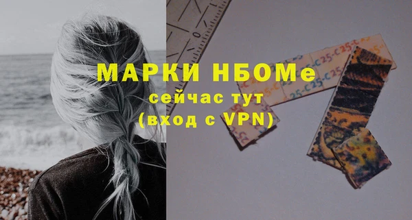 бошки Бородино